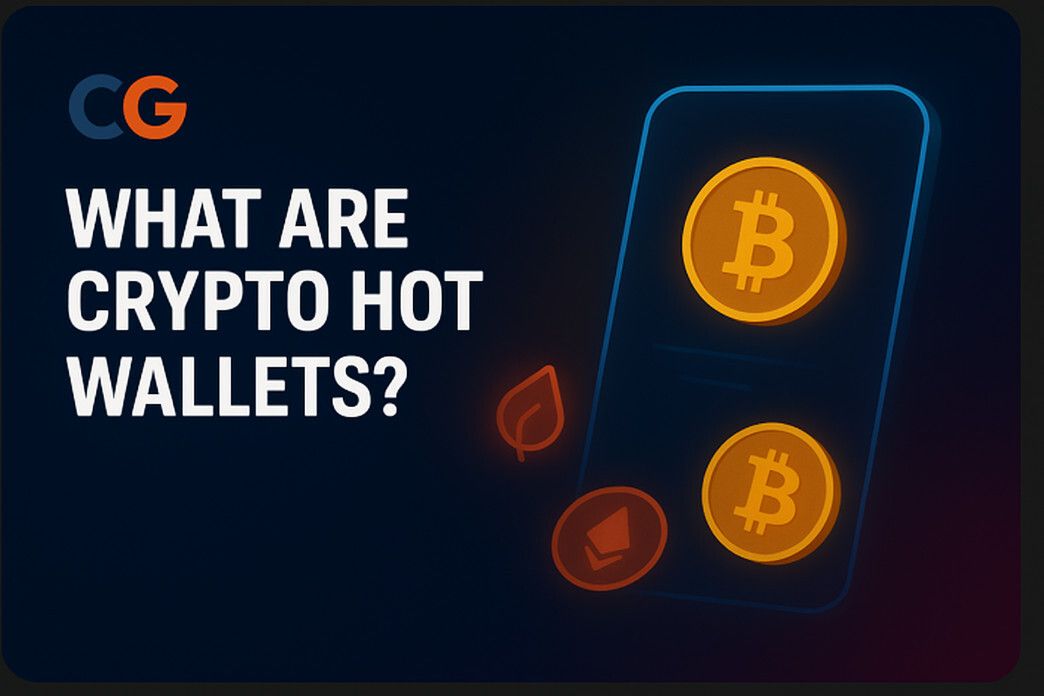 What Are Crypto Hot Wallets? Everything You Need To Know